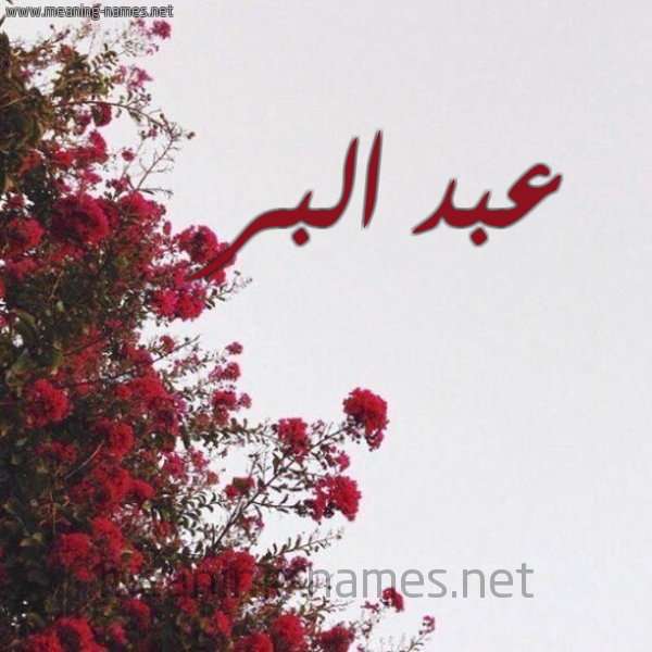 شكل 18 صوره الورد الأحمر للإسم بخط رقعة صورة اسم عبد البر Abd-Albar